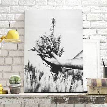 Foto op canvas Wheat harvest
