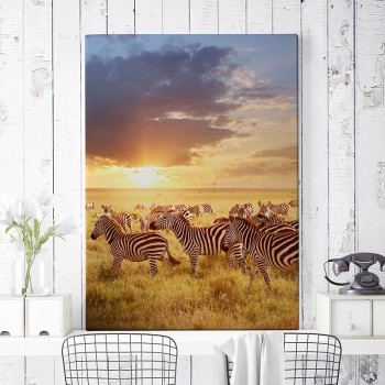 Foto op canvas Zebras in sunset