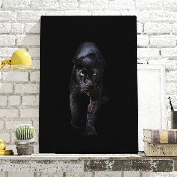 Foto op canvas Panther against black