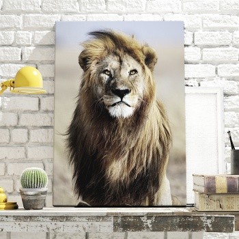 Canvastavla Serengeti Lion-0