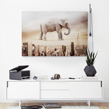 Elephant walk the line