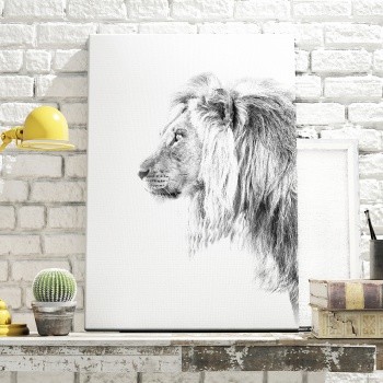 Male lion in profile