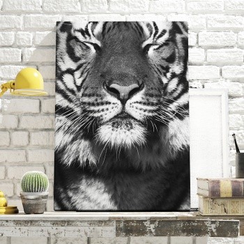 Foto op canvas Tiger closeup