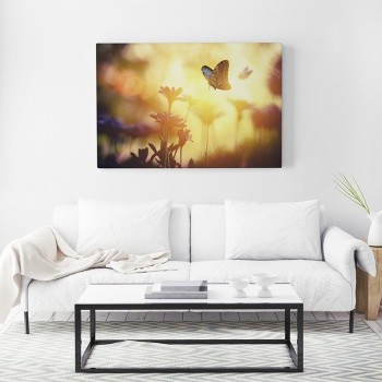 Butterfly in backlight