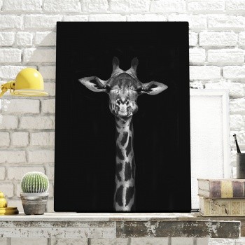 Foto op canvas Giraffe portrait