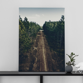 Foto op canvas Through the woods