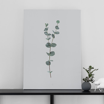 Eucalyptus One