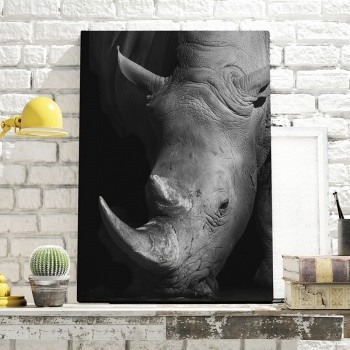Foto op canvas Rhino closeup