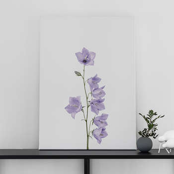 Foto op canvas Bluebell