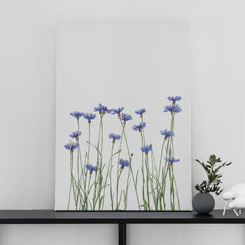 Foto op canvas Cornflowers