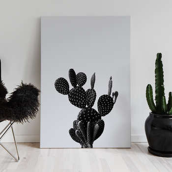 Foto op canvas Black cactus 1