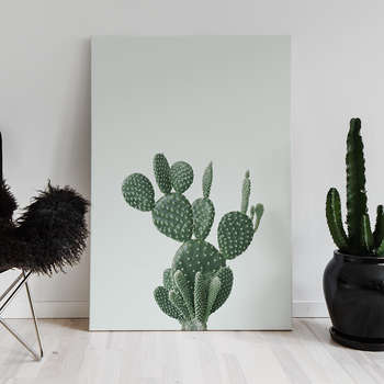 Foto op canvas Green cactus 1