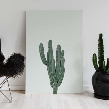 Foto op canvas Green cactus 2
