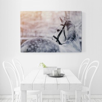 Horse in winter landscape