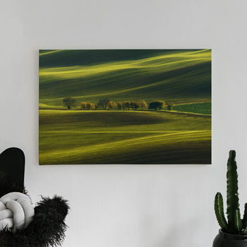 Foto op canvas Tree-line road