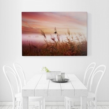 Foto op canvas Arable Landscape