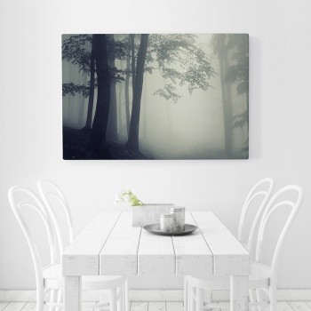 Foto op canvas Trees in misty surrounding