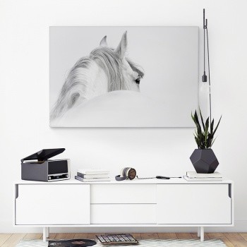 Foto op canvas White horse [2]