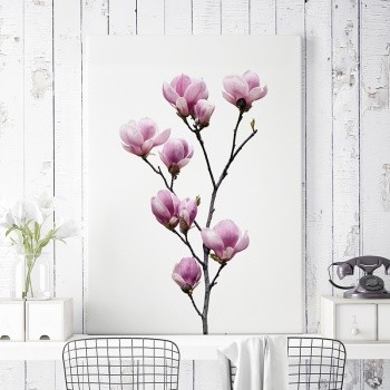 Foto op canvas Pink Magnolia