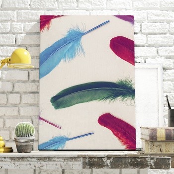 Foto op canvas Feathers spread out